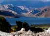 Ladakh tour packages