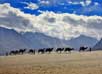 Ladakh tour packages