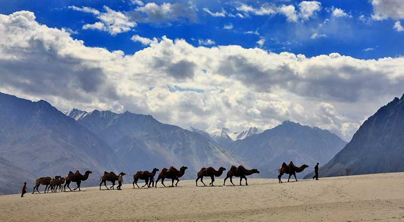 Ladakh tour packages