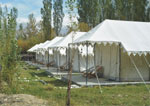 Camps in Nubra Valley