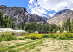 Camps in Nubra Valley