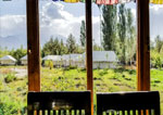 Camps in Nubra Valley