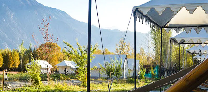 Camps in Nubra Valley