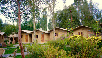 Camping in Nubra Valley 