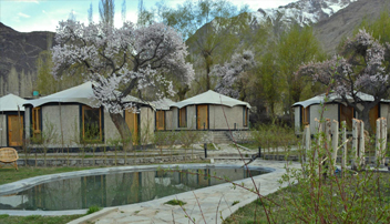 Camping in Nubra Valley 