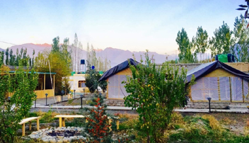 Camping in Nubra Valley 