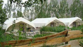 Camping in Nubra Valley Double Humped Camp Hunder