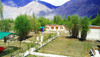 Camping in Nubra Valley 