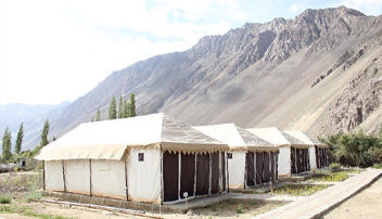 Camping in Nubra Valley 