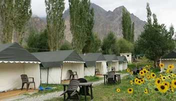 Camping in Nubra Valley Nubra Sarai Camp