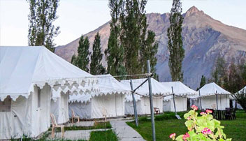 Camping in Nubra Valley 