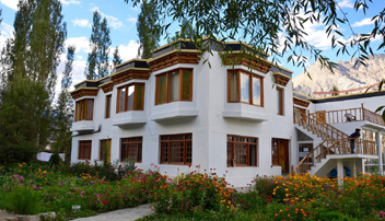 Camping in Nubra Valley 