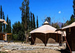 Camps in Nubra Valley