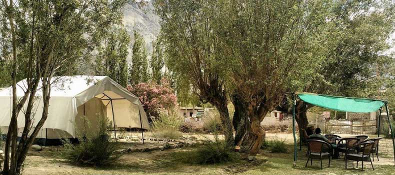 Camps In Ladakh