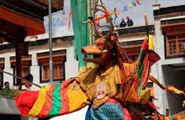 Ladakh Festival