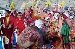 Ladakh Festival