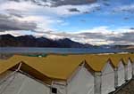 Camps In Ladakh