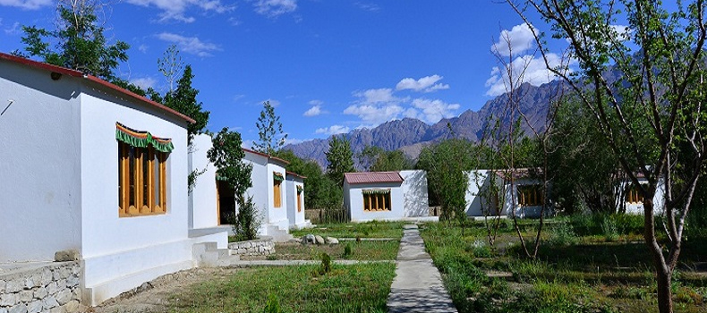 Camps In Ladakh