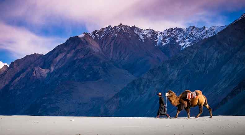 Ladakh tour packages