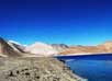 Ladakh tour packages