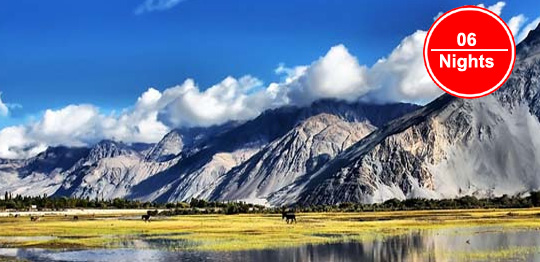06 Nights in Leh with Nubra & Pangong Tso ladakh tour packages