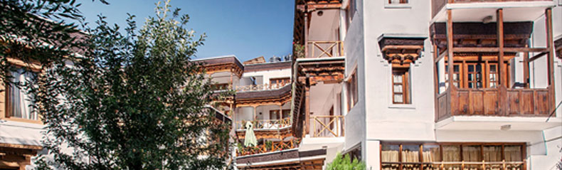 Hotels In Ladakh