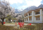 Camps in Nubra Valley