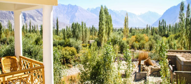 Camps in Nubra Valley