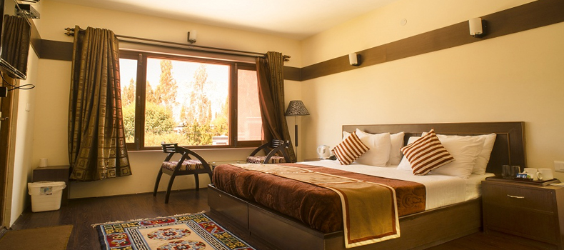 Deluxe Hotels In Ladakh