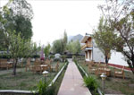 Camps in Nubra Valley