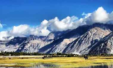 Ladakh Tour Packages in Lehladakhtourism.com