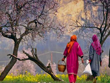 Kashmir Tour Packages in Lehladakhtourism.com