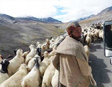 Overland from Srinagar