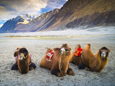 Leh Ladkakh Tourism