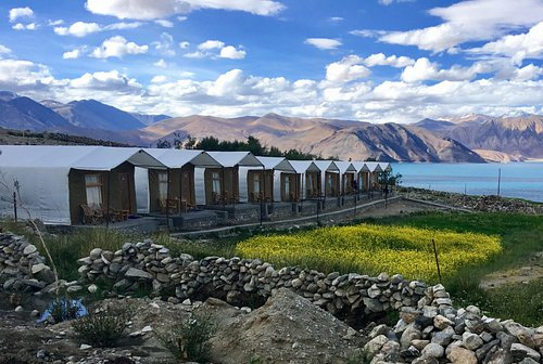 Camps In Pangong -Ladakh Pangong Retreat Camp (Spangmik ) 