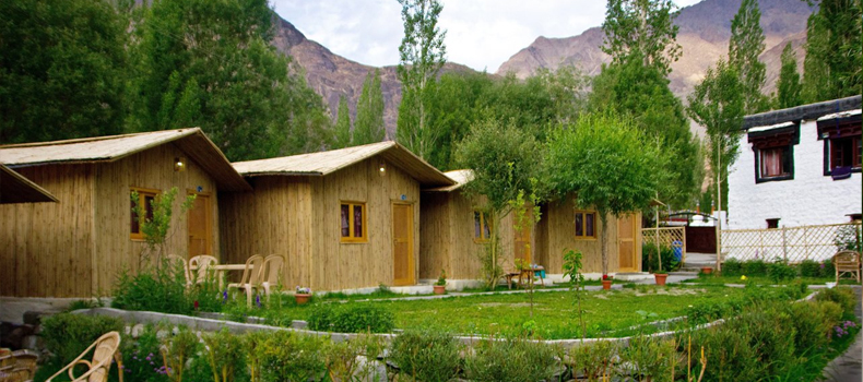 Camps In Ladakh