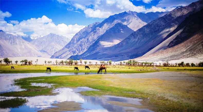 Ladakh tour packages