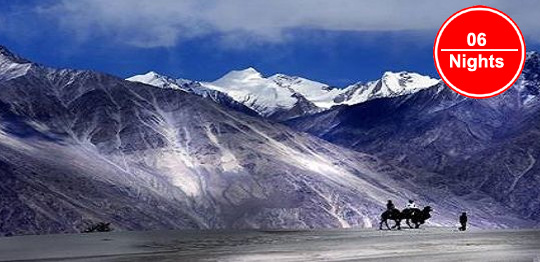 ladakh tour packages