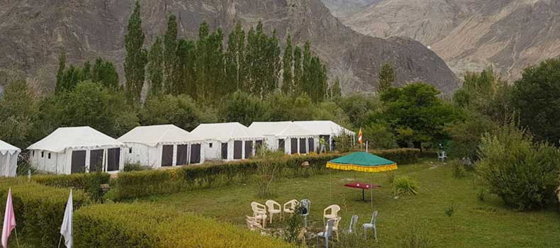 Camps In Ladakh