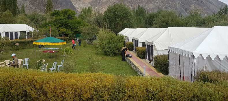 Camps In Ladakh