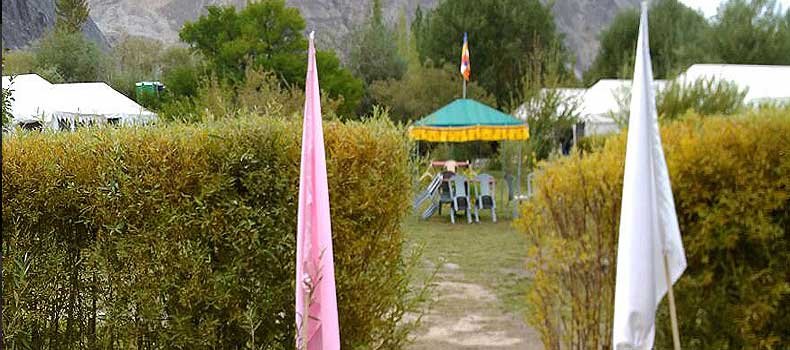 Camps In Ladakh