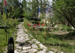 Camps In Ladakh