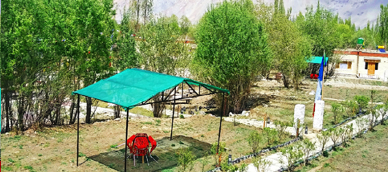 Camps In Ladakh