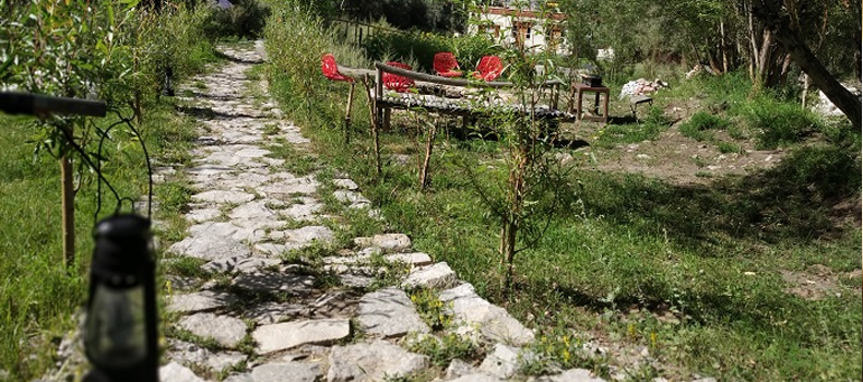 Camps In Ladakh