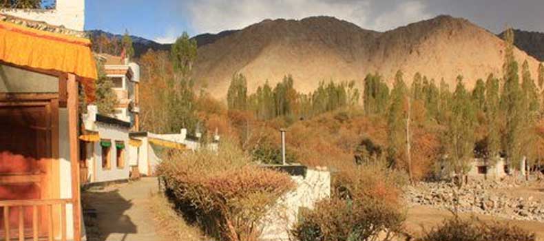 Hotels In Ladakh