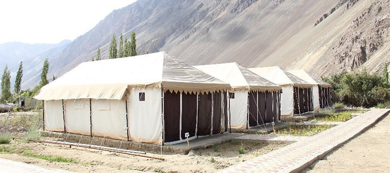 Camps In Ladakh