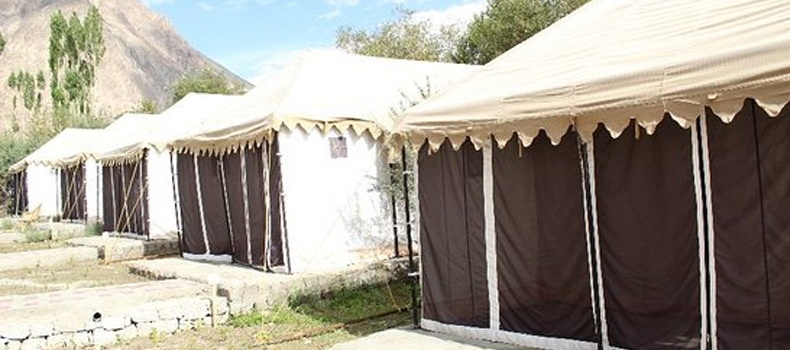 Camps In Ladakh