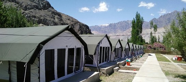 Camps In Ladakh