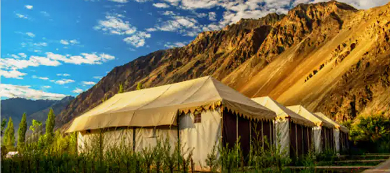 Camps In Ladakh