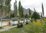 Camps In Ladakh